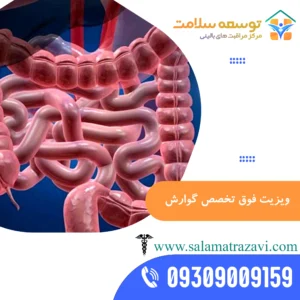 ویزیت متخصص گوارش در منزل مشهد